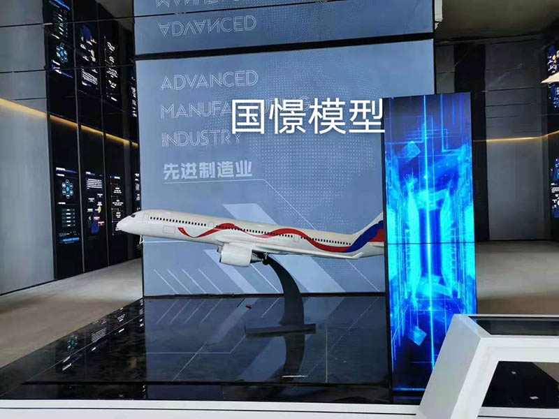 民权县飞机模型